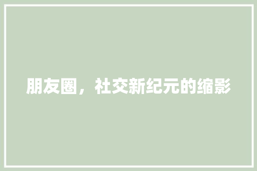 朋友圈，社交新纪元的缩影