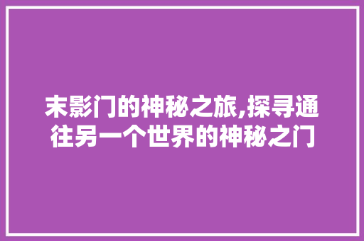 末影门的神秘之旅,探寻通往另一个世界的神秘之门