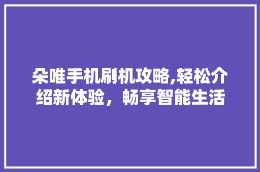 朵唯手机刷机攻略,轻松介绍新体验，畅享智能生活