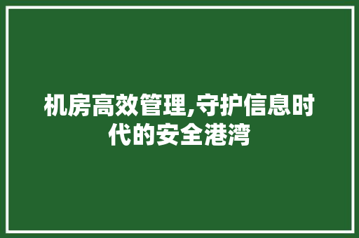 机房高效管理,守护信息时代的安全港湾 机房高效管理,守护信息时代的安全港湾