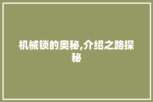 机械锁的奥秘,介绍之路探秘