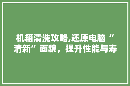 机箱清洗攻略,还原电脑“清新”面貌,提升性能与寿命 机箱清洗攻略,还原电脑“清新”面貌,提升性能与寿命