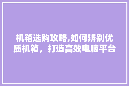 机箱选购攻略,如何辨别优质机箱,打造高效电脑平台 机箱选购攻略,如何辨别优质机箱,打造高效电脑平台