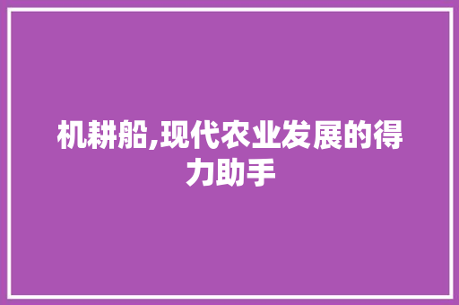 机耕船,现代农业发展的得力助手 机耕船,现代农业发展的得力助手