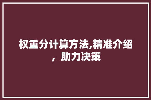 权重分计算方法,精准介绍,助力决策 权重分计算方法,精准介绍,助力决策