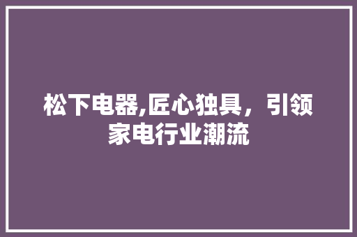 松下电器,匠心独具，引领家电行业潮流 电脑基础