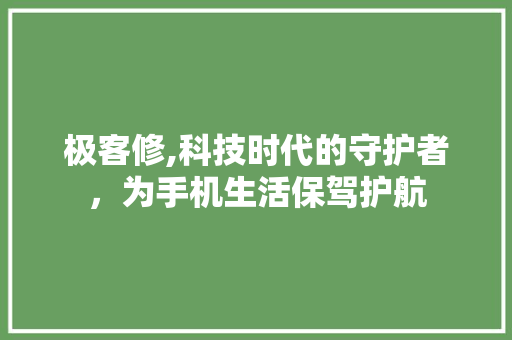 极客修,科技时代的守护者，为手机生活保驾护航