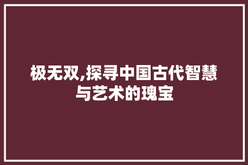 极无双,探寻中国古代智慧与艺术的瑰宝