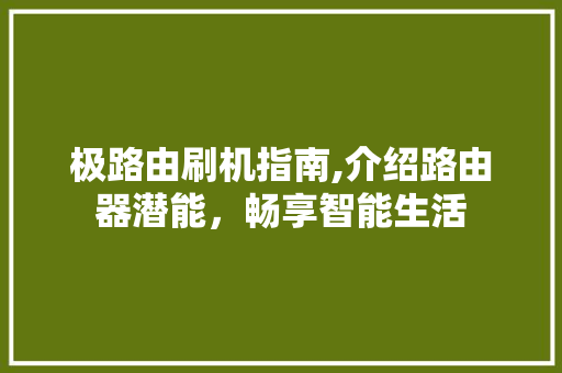 极路由刷机指南,介绍路由器潜能，畅享智能生活 电脑故障维修