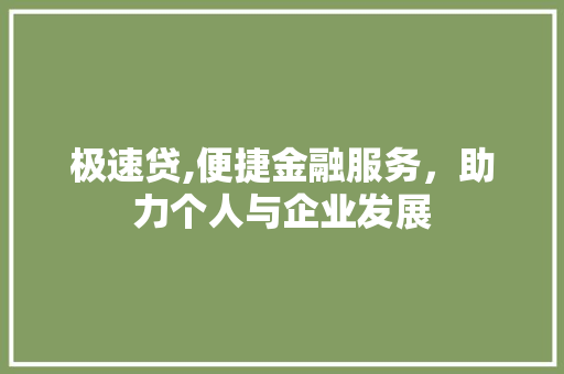 极速贷,便捷金融服务，助力个人与企业发展 电脑基础