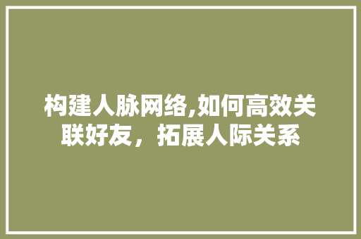 构建人脉网络,如何高效关联好友，拓展人际关系 网络技术