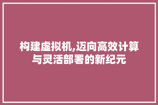 构建虚拟机,迈向高效计算与灵活部署的新纪元 构建虚拟机,迈向高效计算与灵活部署的新纪元