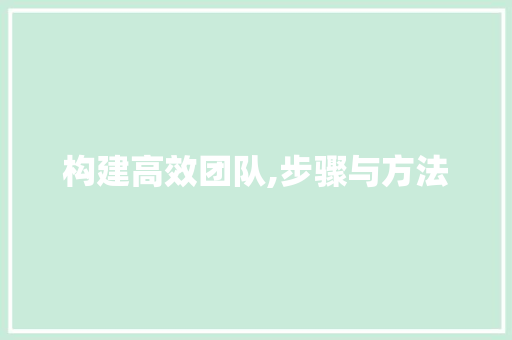 构建高效团队,步骤与方法 构建高效团队,步骤与方法