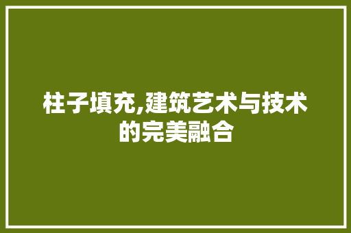 柱子填充,建筑艺术与技术的完美融合 柱子填充,建筑艺术与技术的完美融合