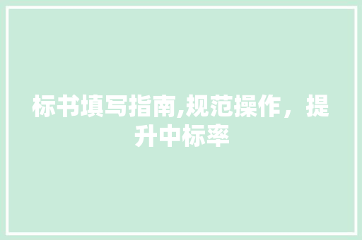 标书填写指南,规范操作,提升中标率 电脑基础 标书填写指南,规范操作,提升中标率 电脑基础