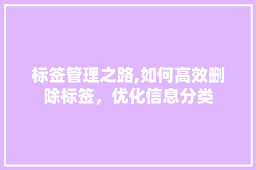 标签管理之路,如何高效删除标签，优化信息分类