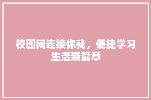 校园网连接你我，便捷学习生活新篇章