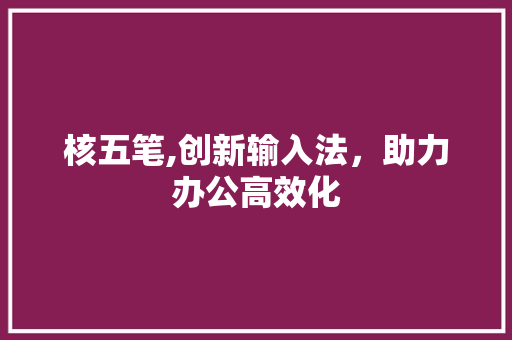 核五笔,创新输入法，助力办公高效化