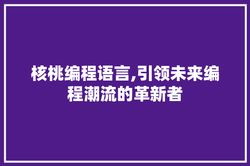 核桃编程语言,引领未来编程潮流的革新者 编程语言