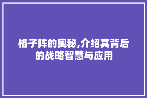 格子阵的奥秘,介绍其背后的战略智慧与应用 编程语言