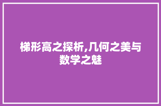 梯形高之探析,几何之美与数学之魅 编程语言