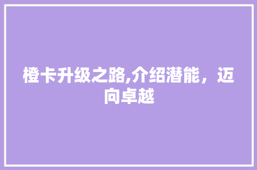 橙卡升级之路,介绍潜能，迈向卓越 编程语言