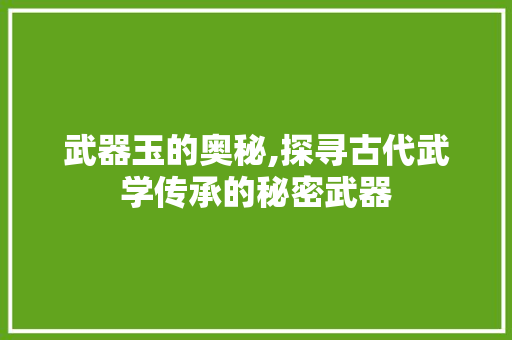 武器玉的奥秘,探寻古代武学传承的秘密武器 电脑配置