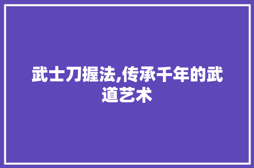 武士刀握法,传承千年的武道艺术 操作系统