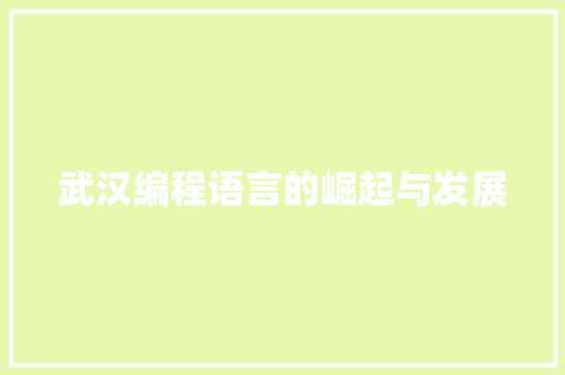 武汉编程语言的崛起与发展 编程语言