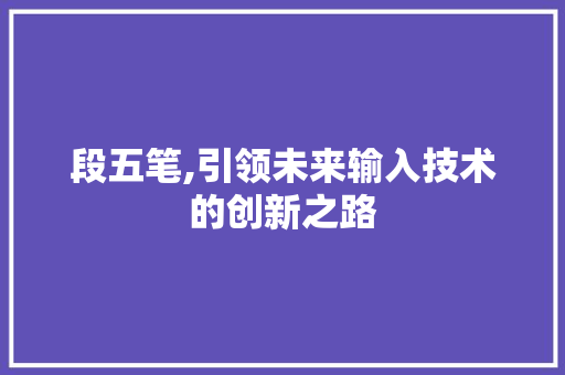 段五笔,引领未来输入技术的创新之路 操作系统