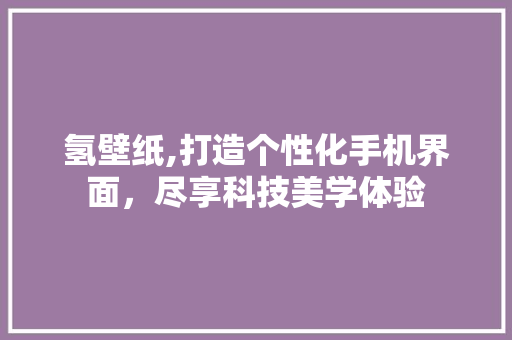 氢壁纸,打造个性化手机界面，尽享科技美学体验 操作系统