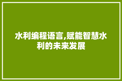 水利编程语言,赋能智慧水利的未来发展 电脑基础
