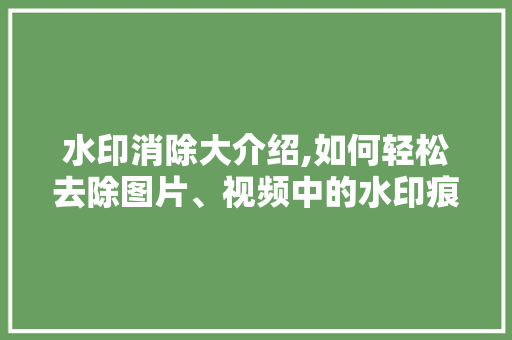 水印消除大介绍,如何轻松去除图片、视频中的水印痕迹