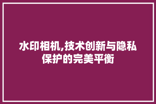 水印相机,技术创新与隐私保护的完美平衡