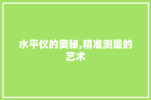 水平仪的奥秘,精准测量的艺术