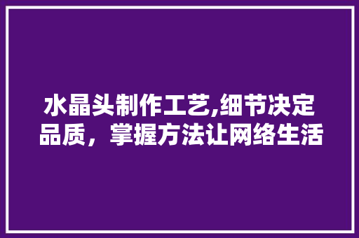 水晶头制作工艺,细节决定品质，掌握方法让网络生活更顺畅