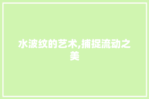水波纹的艺术,捕捉流动之美 网络技术