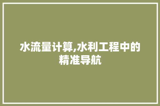 水流量计算,水利工程中的精准导航