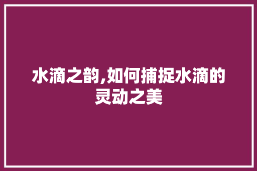 水滴之韵,如何捕捉水滴的灵动之美