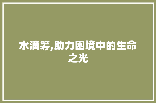 水滴筹,助力困境中的生命之光