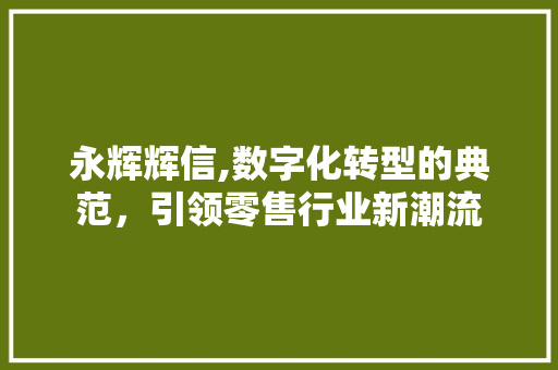 永辉辉信,数字化转型的典范，引领零售行业新潮流