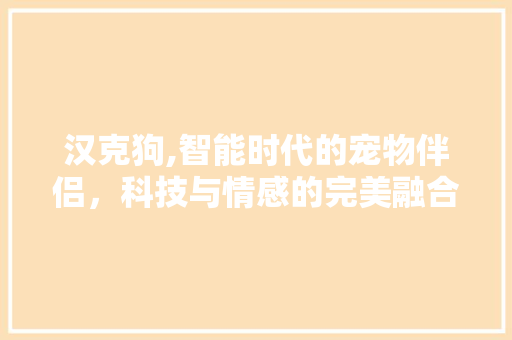 汉克狗,智能时代的宠物伴侣，科技与情感的完美融合 网络技术