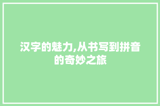 汉字的魅力,从书写到拼音的奇妙之旅 网络技术