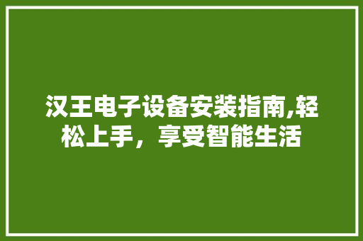 汉王电子设备安装指南,轻松上手，享受智能生活 操作系统