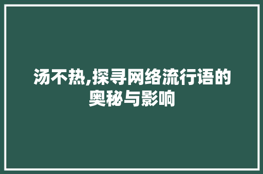 汤不热,探寻网络流行语的奥秘与影响 操作系统