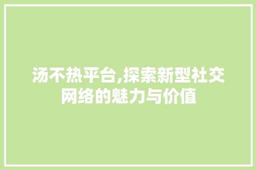 汤不热平台,探索新型社交网络的魅力与价值 编程语言