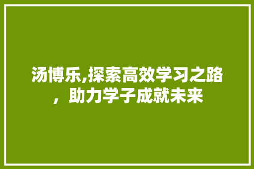汤博乐,探索高效学习之路,助力学子成就未来 电脑基础 汤博乐,探索高效学习之路,助力学子成就未来 电脑基础