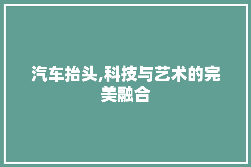 汽车抬头,科技与艺术的完美融合 电脑基础 汽车抬头,科技与艺术的完美融合 电脑基础