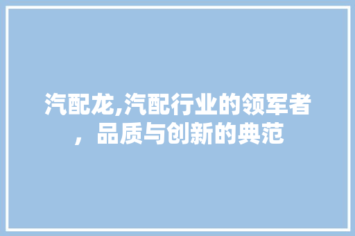 汽配龙,汽配行业的领军者,品质与创新的典范 操作系统 汽配龙,汽配行业的领军者,品质与创新的典范 操作系统