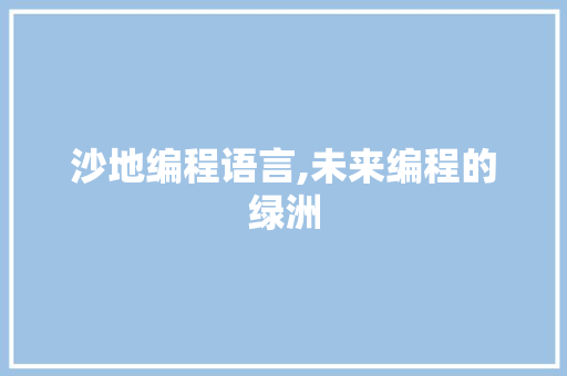 沙地编程语言,未来编程的绿洲 电脑配置